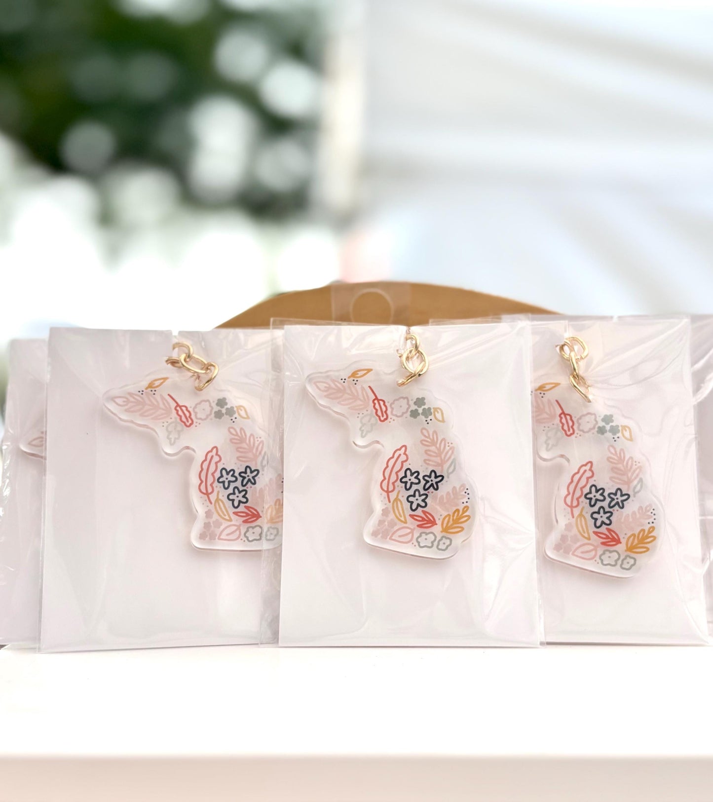 Acrylic Michigan Keychain. State Keychain. 2 Inch Clear Acrylic Keychain. Personal Gift Accessory.