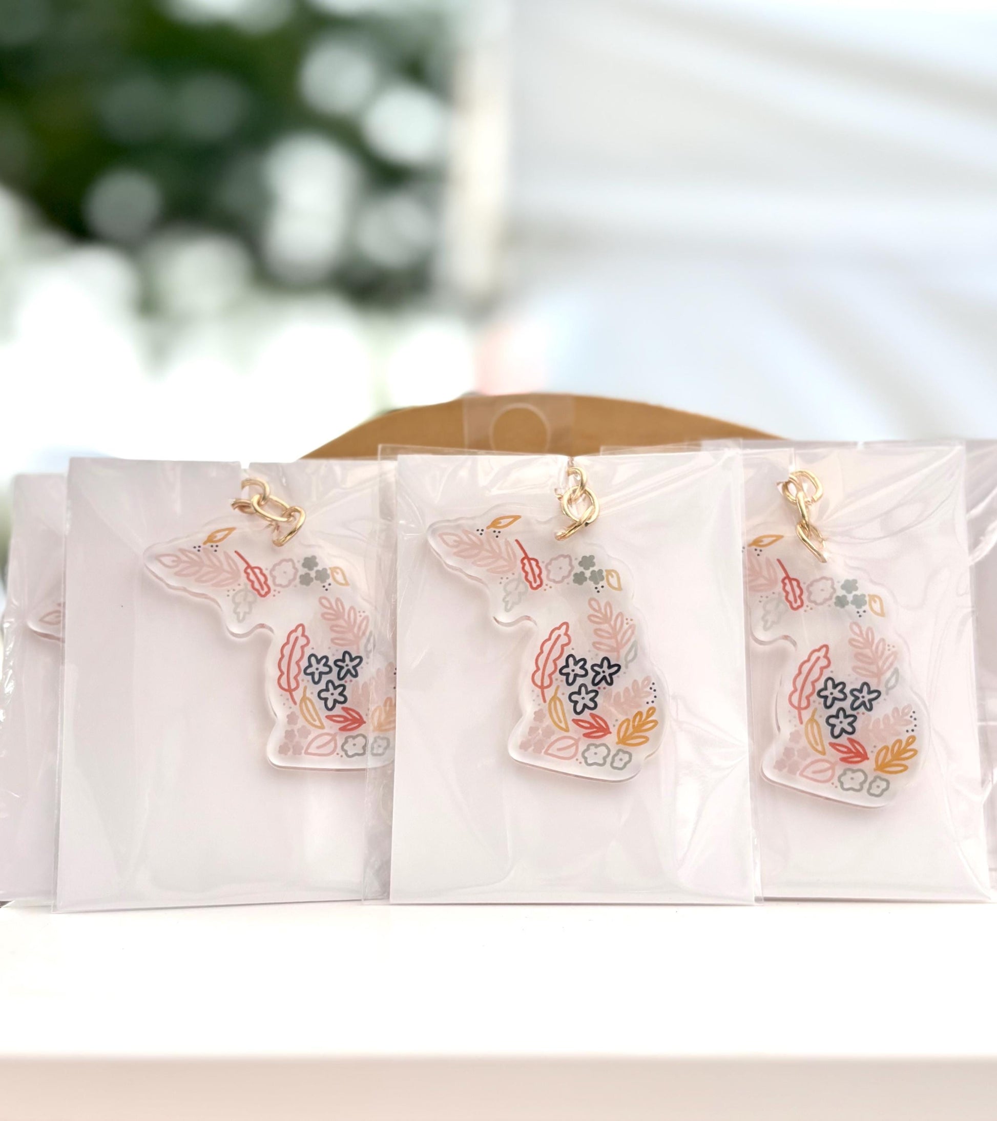 Acrylic Michigan Keychain. State Keychain. 2 Inch Clear Acrylic Keychain. Personal Gift Accessory.